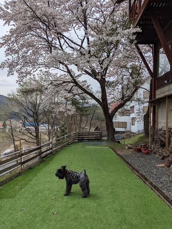ワンコと泊まるジャスミンクリーク Toyooka (Hyogo) Exterior foto